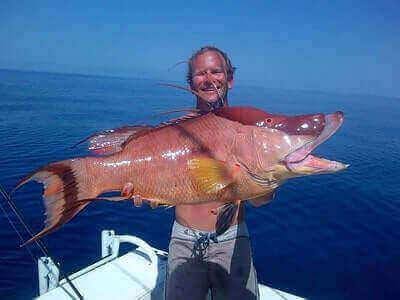 Mastering Hogfish Fishing: 7 Expert Tips for Anglers